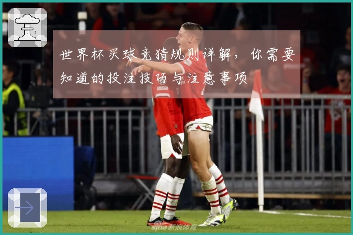 世界杯买球竞猜规则详解，你需要知道的投注技巧与注意事项