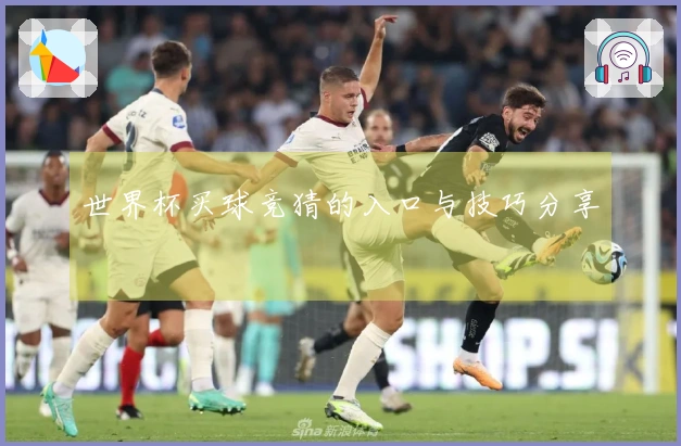 世界杯买球竞猜的入口与技巧分享
