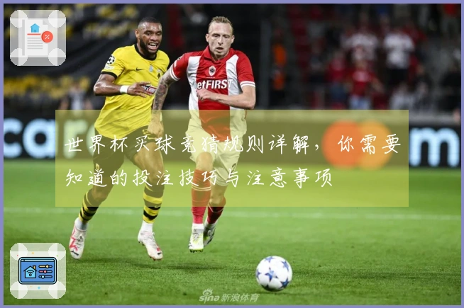 世界杯买球竞猜规则详解，你需要知道的投注技巧与注意事项