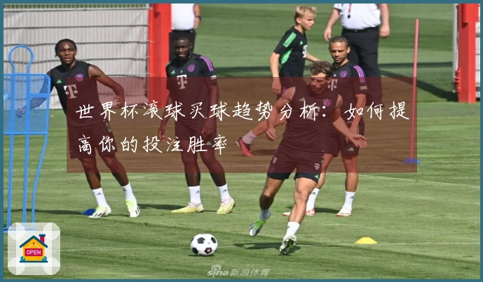 世界杯滚球买球趋势分析：如何提高你的投注胜率