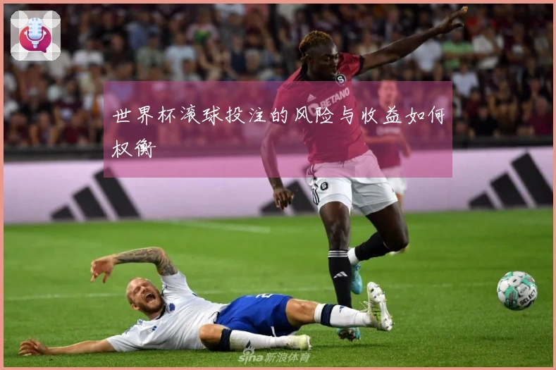 世界杯滚球投注的风险与收益如何权衡