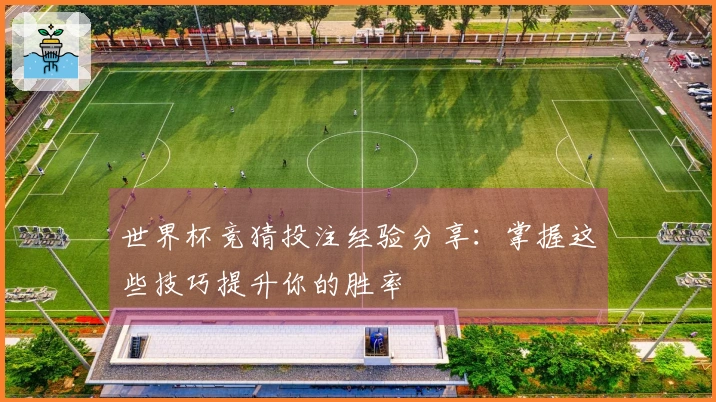 世界杯竞猜投注经验分享：掌握这些技巧提升你的胜率