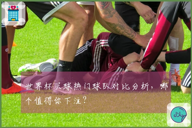 世界杯买球热门球队对比分析，哪个值得你下注？